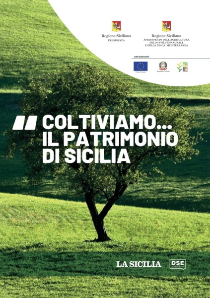 Supplementi Gratuiti